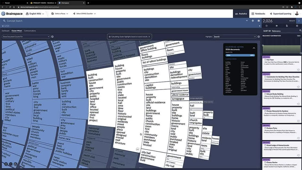 screenshot of Brainspace AI interface for eDiscovery Services